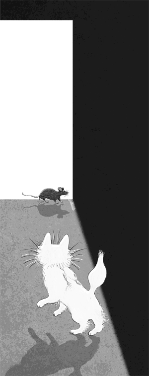 Ночёвка с грабителями