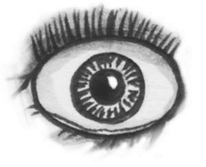 Тринадцать Тринадцать