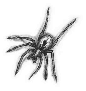 Тринадцать Тринадцать