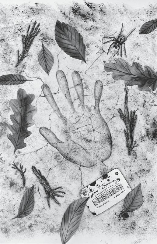 Тринадцать Тринадцать