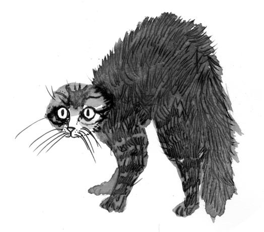 Не моргай! Не моргай!