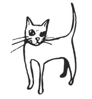 Не моргай! Не моргай!