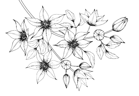 Непокорный рыцарь Непокорный рыцарь