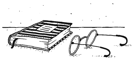 Осенний полет таксы Осенний полет таксы