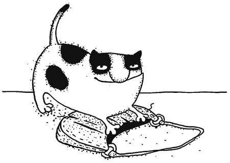 Осенний полет таксы Осенний полет таксы