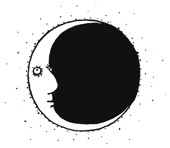 Осенний полет таксы Осенний полет таксы