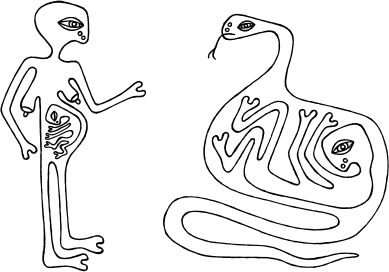 Госпожа яблок Госпожа яблок