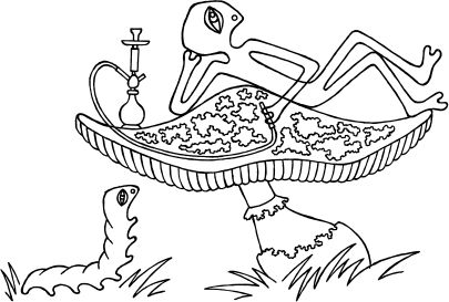 Госпожа яблок Госпожа яблок