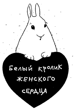 Женщины и коты, мужчины и кошки Женщины и коты, мужчины и кошки