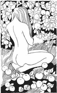 Книга обманов Книга обманов