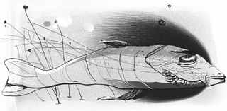 Книга обманов Книга обманов