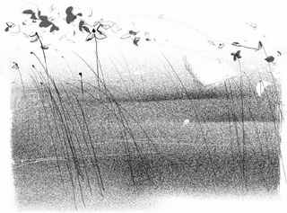 Книга обманов Книга обманов