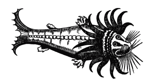 Магички Магички