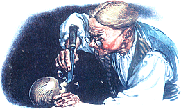 Приключения Пиноккио Приключения Пиноккио