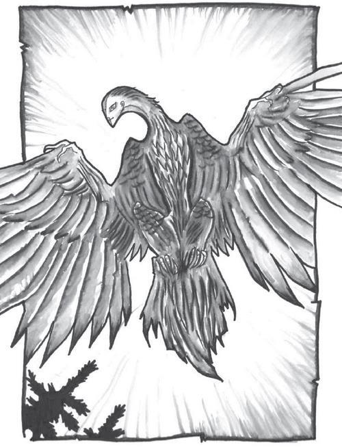 Земля Земля