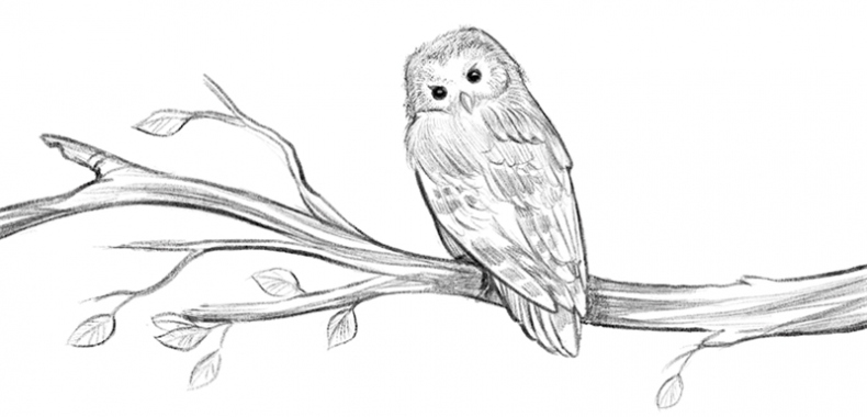 Говорящий лес Говорящий лес