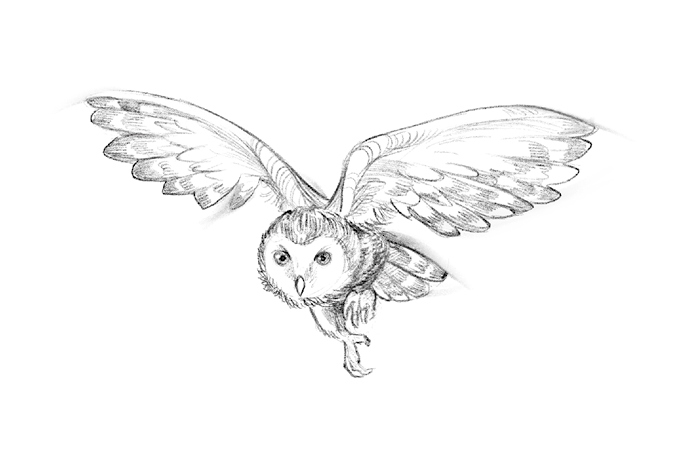 Говорящий лес Говорящий лес