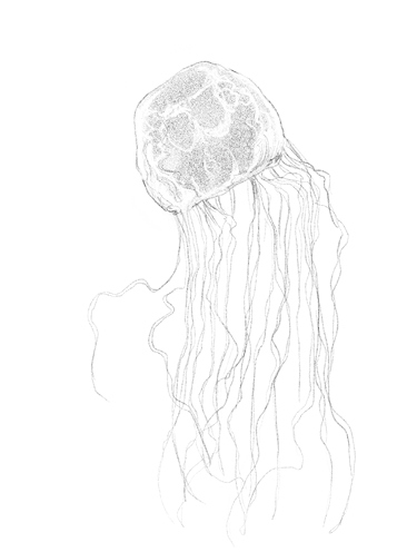 Говорящий лес Говорящий лес