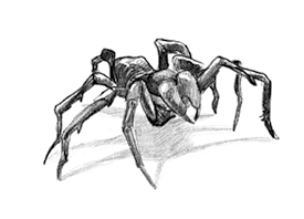 Говорящий лес Говорящий лес