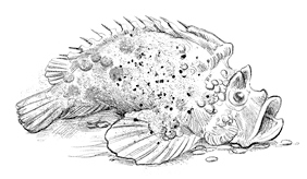 Говорящий лес Говорящий лес