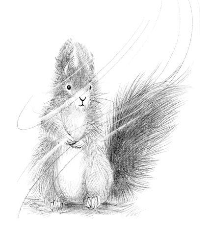 Говорящий лес Говорящий лес