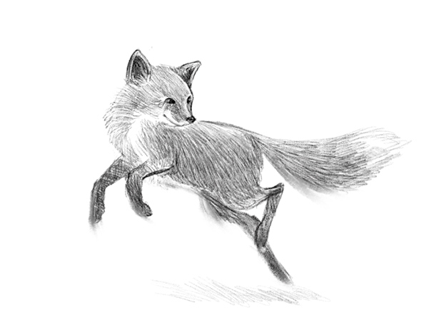 Говорящий лес Говорящий лес