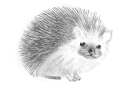 Говорящий лес Говорящий лес