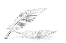 Говорящий лес Говорящий лес