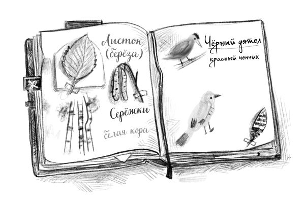 Талисман четырёх стихий Талисман четырёх стихий