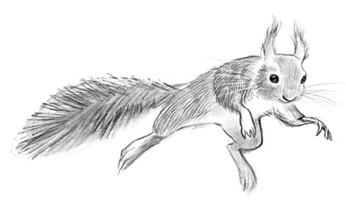 Талисман четырёх стихий Талисман четырёх стихий