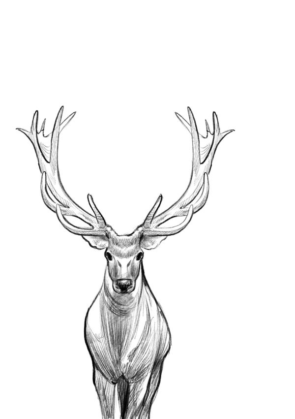 Талисман четырёх стихий Талисман четырёх стихий