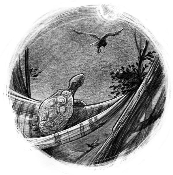 Талисман четырёх стихий Талисман четырёх стихий