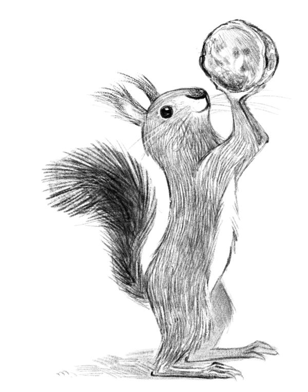 Талисман четырёх стихий Талисман четырёх стихий