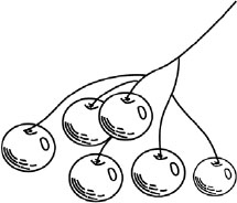 Две вечности. Асфиксия Две вечности. Асфиксия