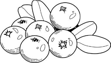 Две вечности. Асфиксия Две вечности. Асфиксия