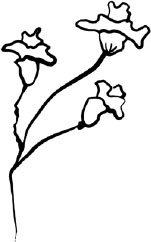 Две вечности. Асфиксия Две вечности. Асфиксия