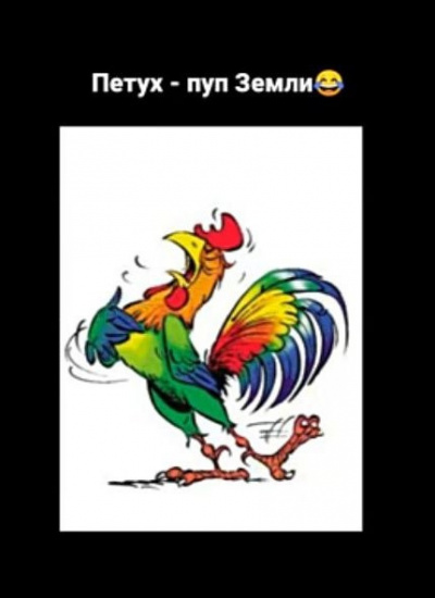 Витрикус Наталья - Петух - пуп Земли