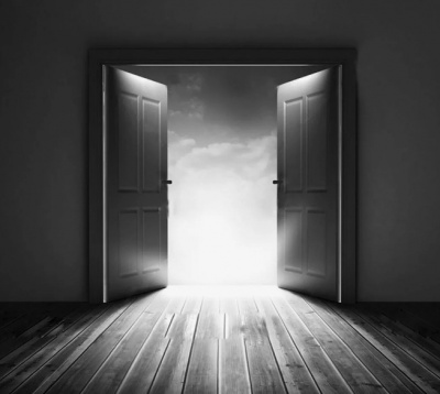 Гермополь - Реинкарнация как всеобщая идея