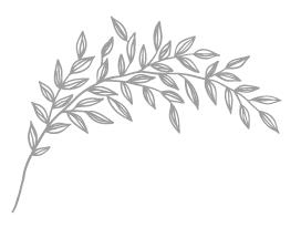 Порочная красота Порочная красота