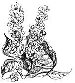 Призрачный поцелуй Призрачный поцелуй