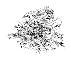 Призрачный поцелуй Призрачный поцелуй