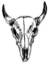 Призрачный поцелуй