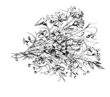 Призрачный поцелуй Призрачный поцелуй