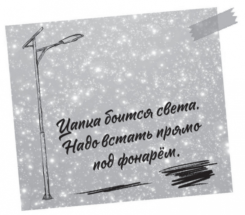 Плюшевая голова Плюшевая голова