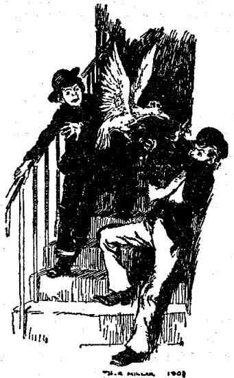 Феникс и ковер Феникс и ковер