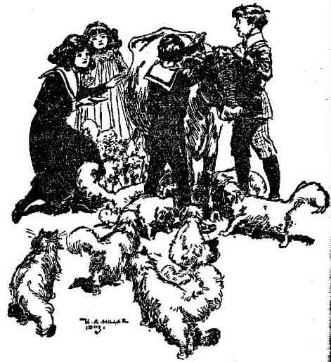 Феникс и ковер Феникс и ковер