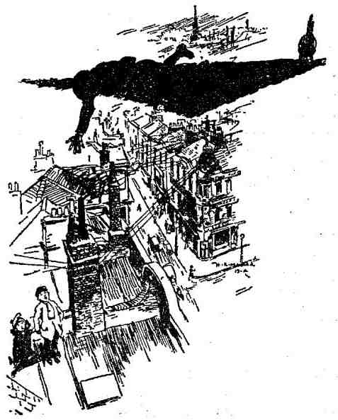 Феникс и ковер Феникс и ковер