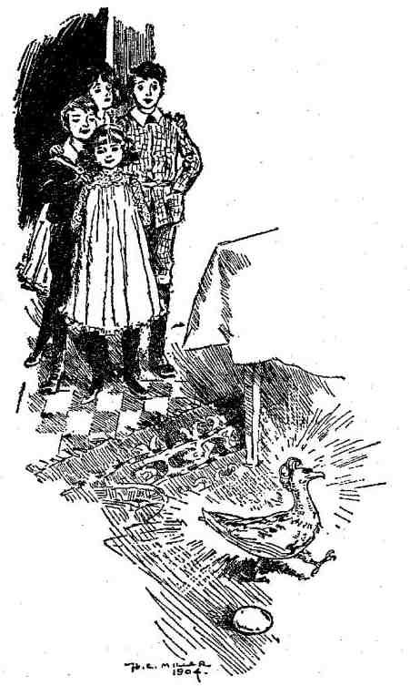 Феникс и ковер Феникс и ковер