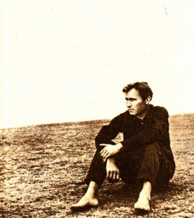 Шукшин Василий - Жил человек