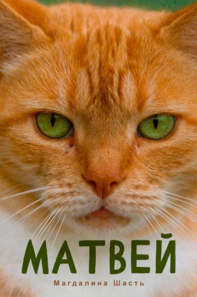 Шасть Магдалина - Матвей